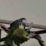 Huch, bist du stürmisch!