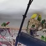 Kurze Pause auf dem Schreddertunnel
