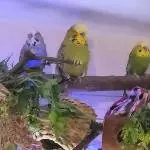 Laaaaanweilig wieder hier!