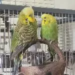 Groß & Klein