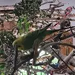 MrGreen hat da was entdeckt, die anderen noch nicht:-))