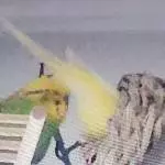 Heiteres Beruferaten Was übt Yellow für einen Beruf aus?