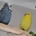Komm mir ja nicht  ZU nahe, Kleiner!