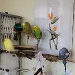 Wir chillen jetzt mal