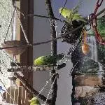 Unser Freßparadies!