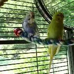 Jacob und Amelie