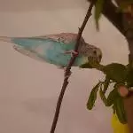 Nebenbei eine Mahlzeit 