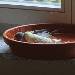 Tweety und Cookie baden das erste Mal 