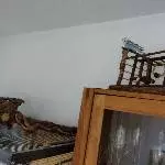 Meine 7jährige Gundula