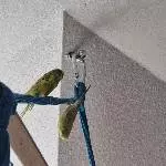 Vogel oder Fledermaus?