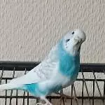 Zuwachs in unserer Gruppe 