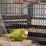 Frisch angekommen und in Eingewöhnung