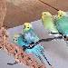 Hallo???,da sind wir