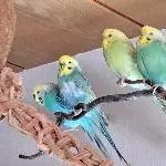 Hallo???,da sind wir