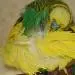 Balou