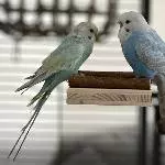 Lilly und Bobby