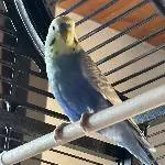 Ein Bild von Teo