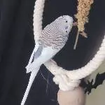 Profilbild für Luna
