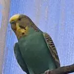 Flug beendet