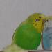 Charlie und Benjii