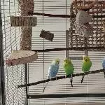 Unsere Junggesellen Gang