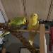Kuscheln <3