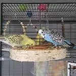 Judy und Four beim Snacken ;)