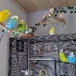 Gruppenfoto !