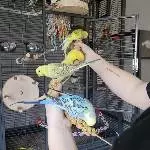 Fortschritte