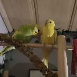 Kuscheln <3
