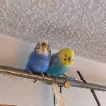 Clari und Georgy 