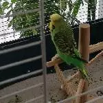 Unsere Kiki