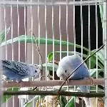 Unsere Jungs bei der Arbeit 