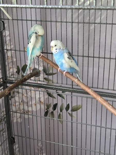 2 Mädchen unter sich