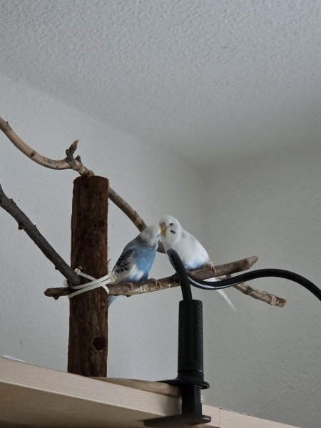 Erstes Date