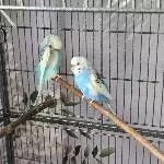2 Mädchen unter sich 