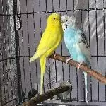 Geheimnis 