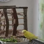 Lecker Futter 