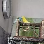 2 Liebespaare