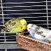 Freddy und Oli