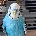 Blu neu Eingezogen