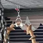 Ganz entspannt am Beobachten