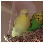 Moritz - Juni - Max