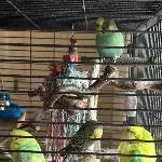 Auf in die Schlafpositionen 