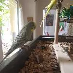 Thor sitzt ganz alleine 