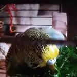 Glück und Zufriedenheit 