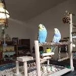 2 lauschen aufmerksam 