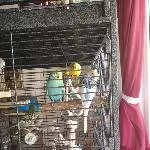 Zeit für den Mittagsschlaf 