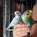 Coco und Leo