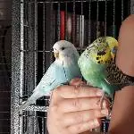 Coco und Leo